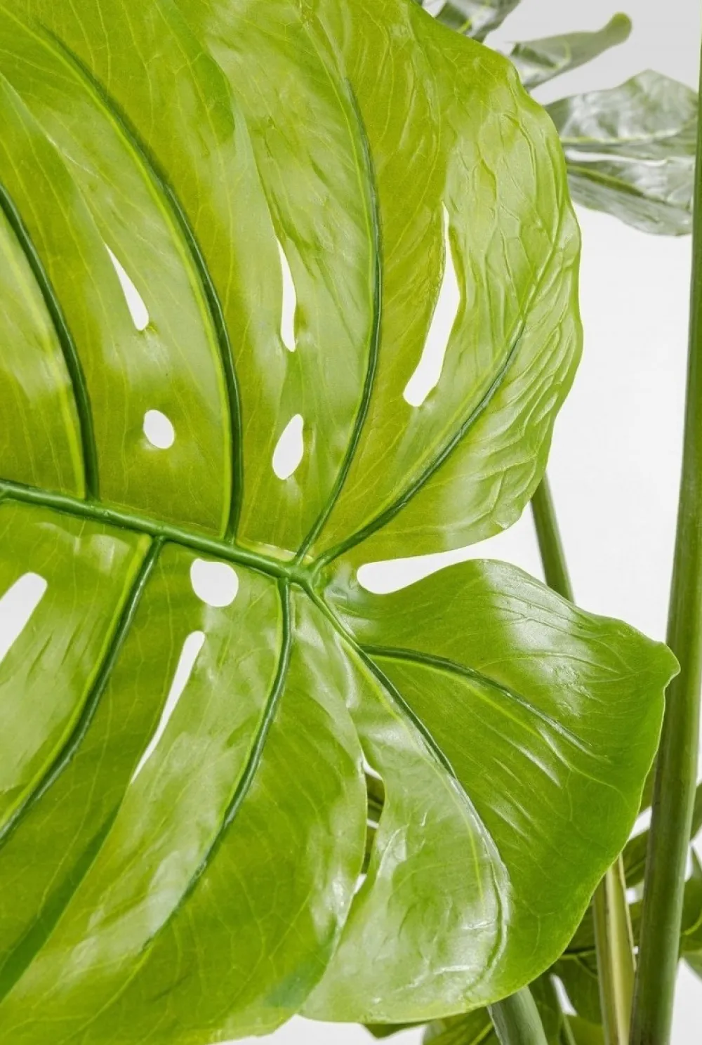 kunstplant_monstera_cm_4.webp KARE Design Kunstplant Monstera 110cm