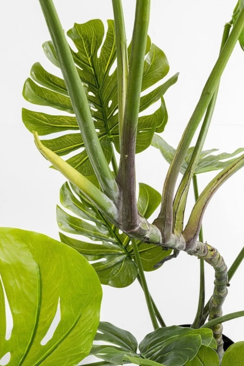 kunstplant_monstera_cm_5.webp KARE Design Kunstplant Monstera 110cm