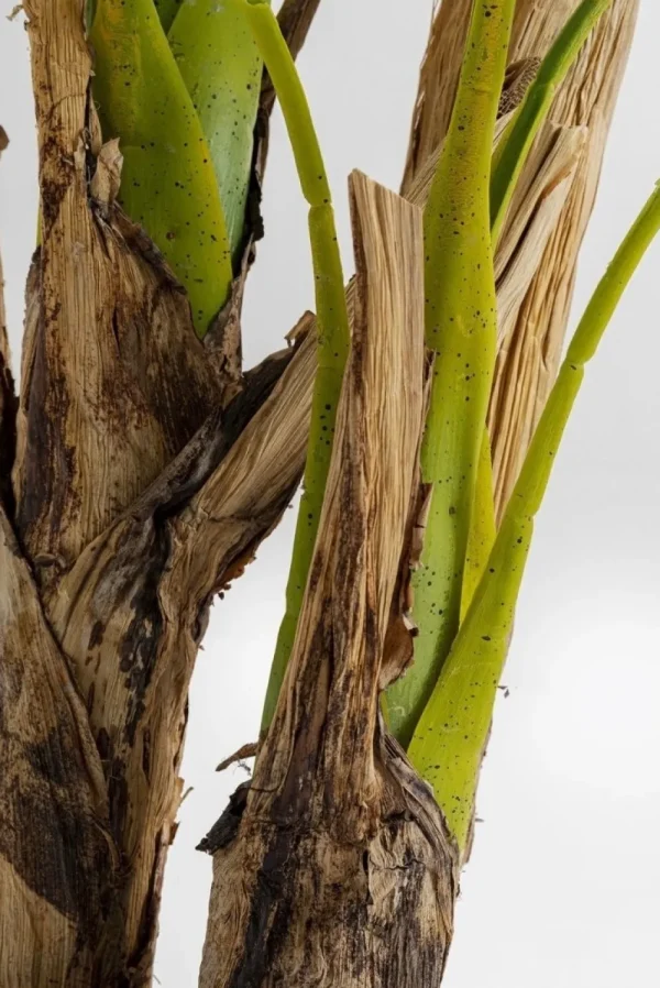 KARE Design Kunstplant Palmboom 190cm