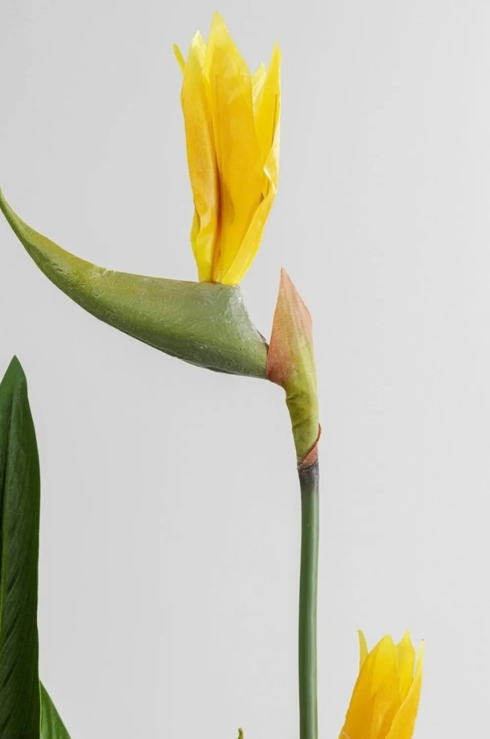 kunstplant_paradise_flowers_cm_2.webp KARE Design Kunstplant Paradise Flowers 190cm