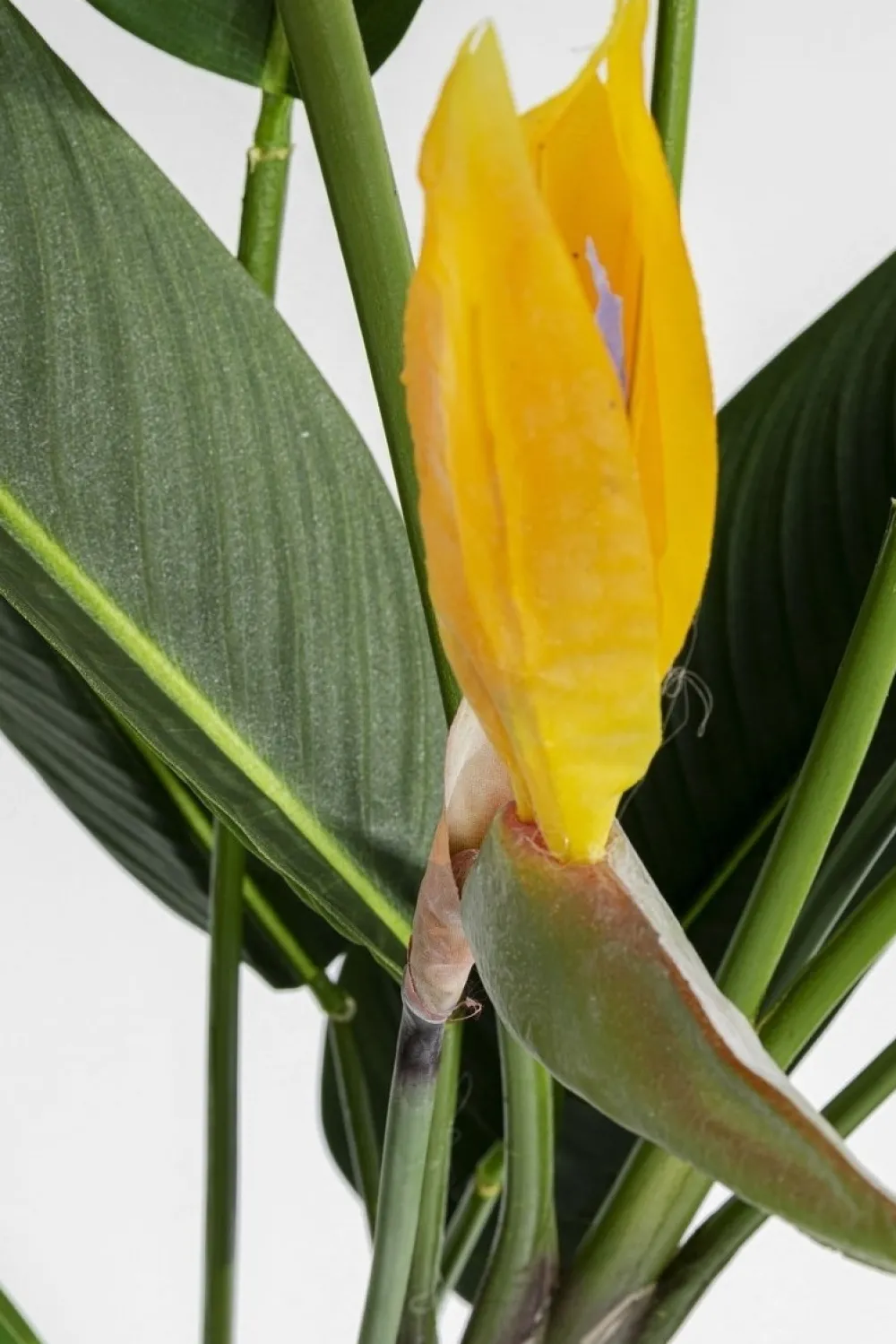 kunstplant_paradise_flowers_cm_4.webp KARE Design Kunstplant Paradise Flowers 190cm