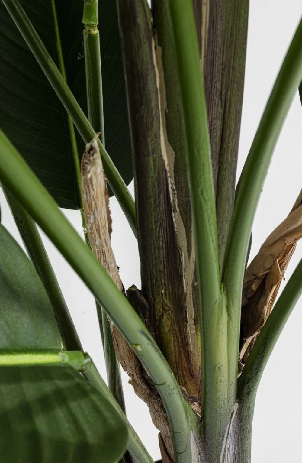 kunstplant_paradise_flowers_cm_5.webp KARE Design Kunstplant Paradise Flowers 190cm