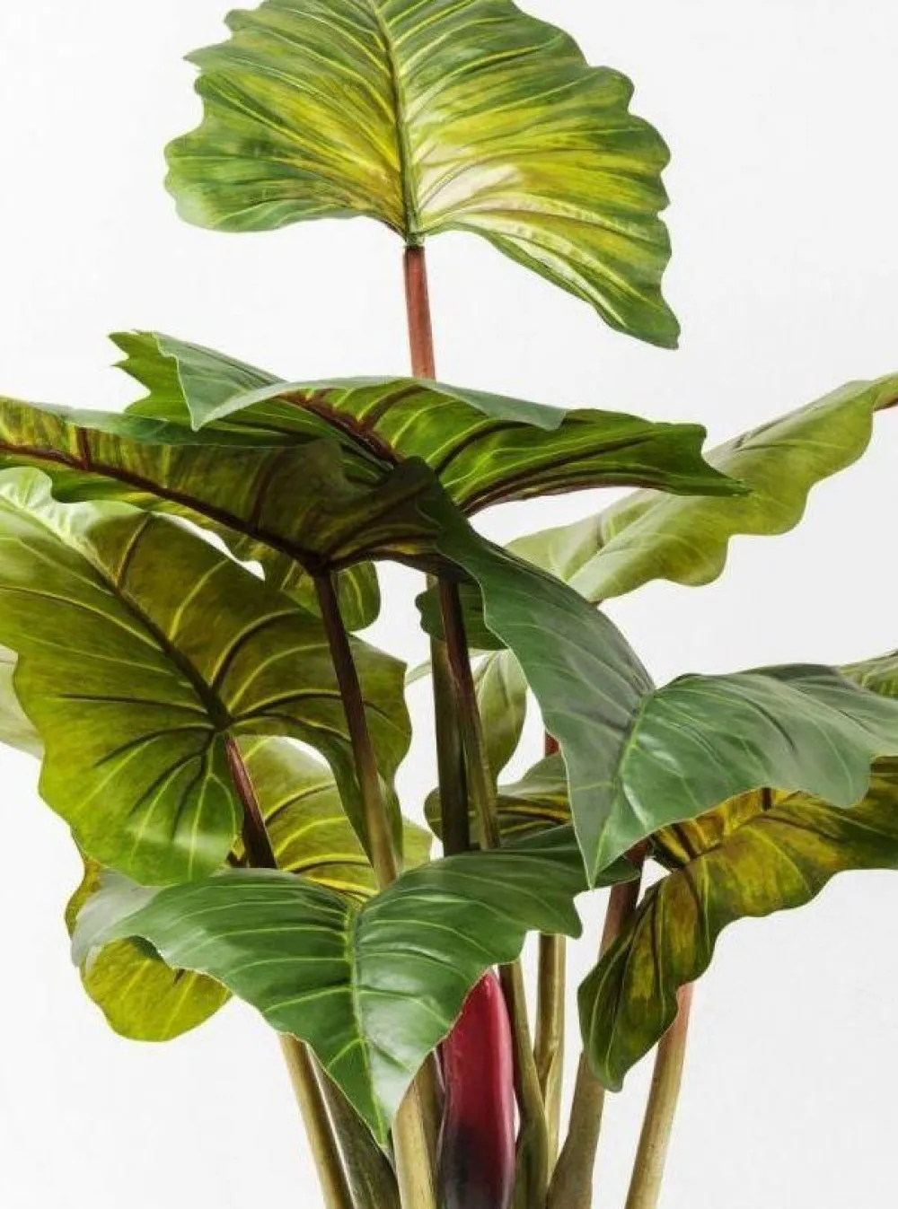 kunstplant_rainforest_groen_cm_2.webp KARE Design Kunstplant Rainforest Groen 160cm