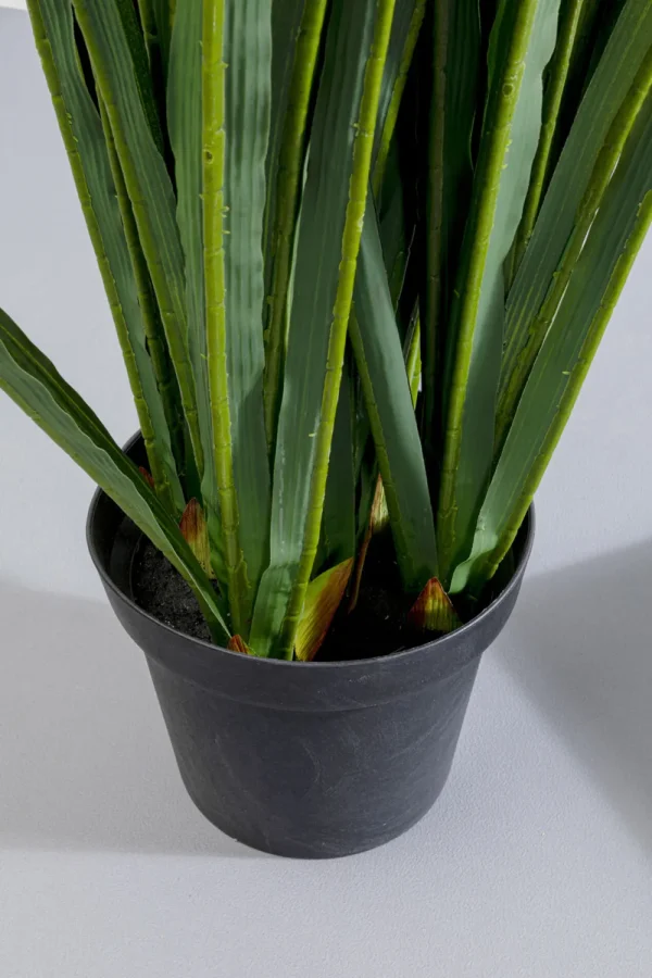 KARE Design Kunstplant Rhynchostylis 150cm