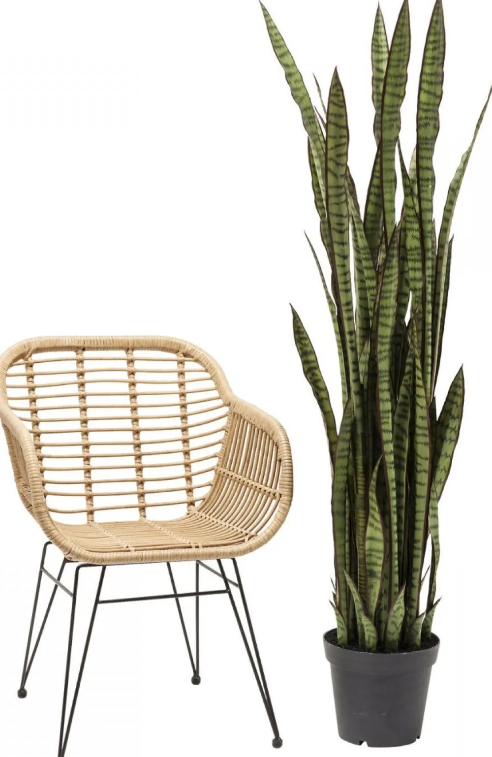 kunstplant_sansevieria_cm_1.webp KARE Design Kunstplant Sansevieria 155cm