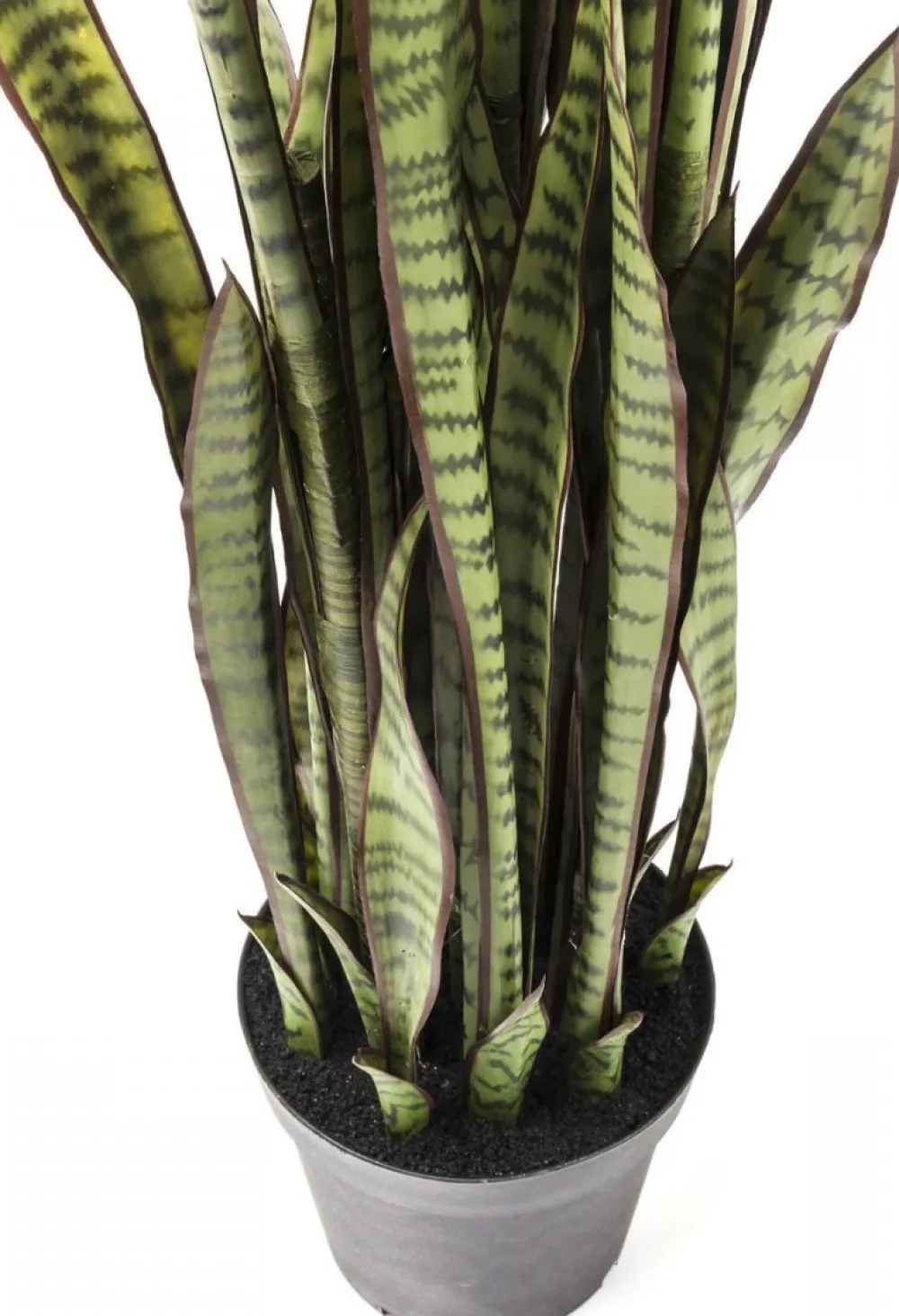kunstplant_sansevieria_cm_2.webp KARE Design Kunstplant Sansevieria 155cm