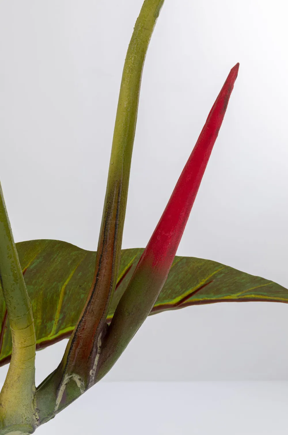 kunstplant_taro_cm_4.webp KARE Design Kunstplant Taro 180cm