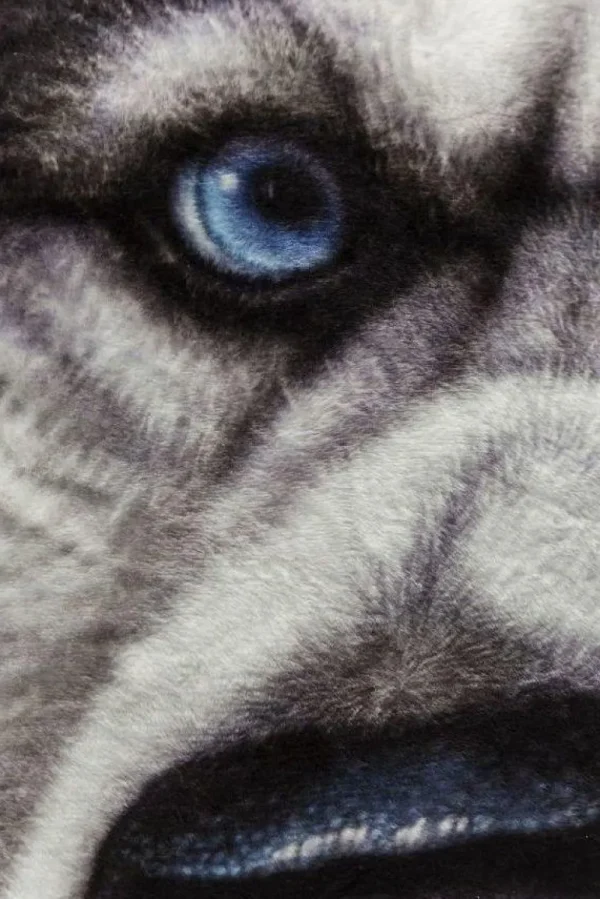 KARE Design Kussen Hond Gezicht Groot