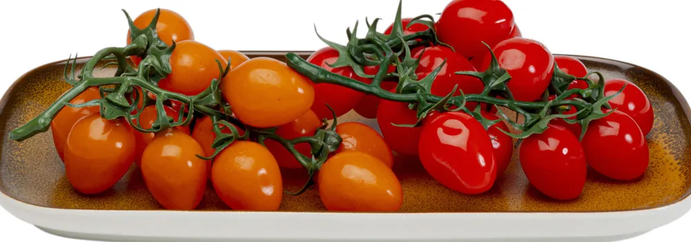 schaal_colorino_xcm_2.webp KARE Design Schaal Colorino 30x26cm