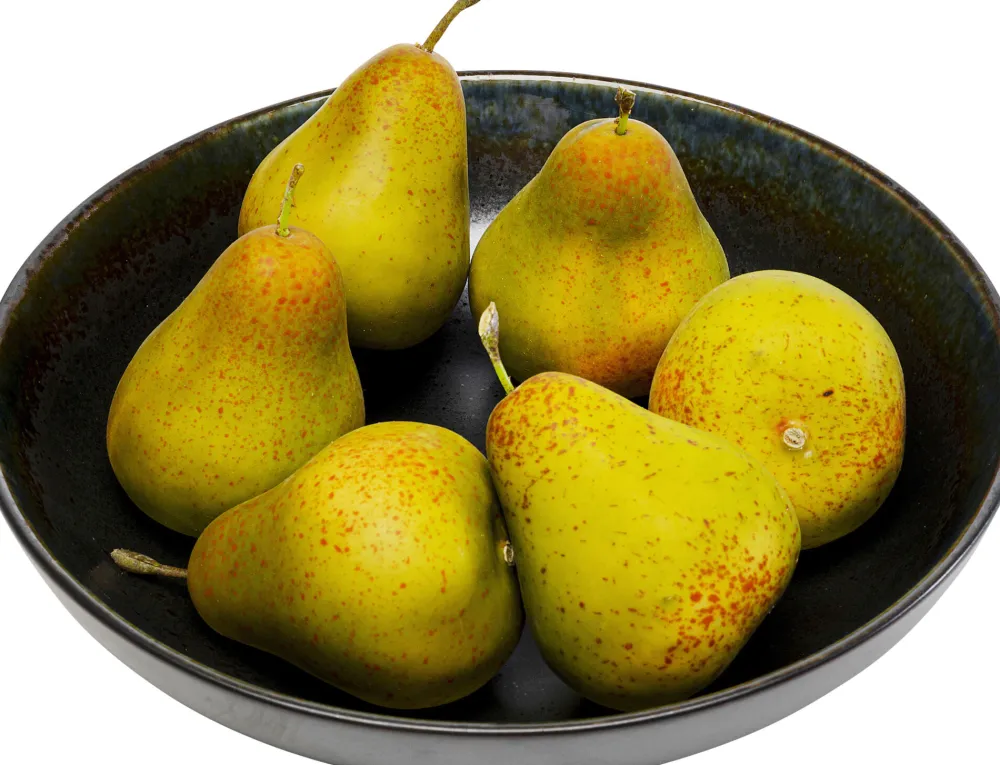 schaal_kassandra_cm_0.webp KARE Design Schaal Kassandra 23cm