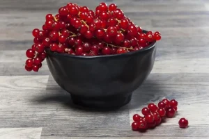 KARE Design Schaal Organic Black Ø15cm