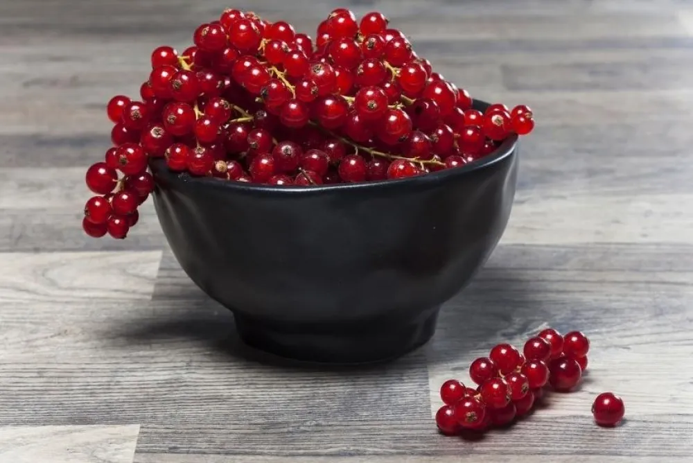 schaal_organic_black_cm_2.webp KARE Design Schaal Organic Black Ø15cm