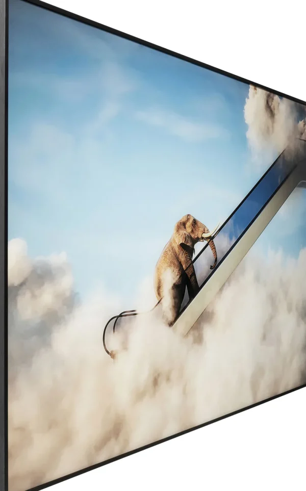 KARE Design Schilderij Elephant In The Sky 150x100cm