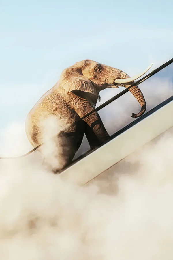 KARE Design Schilderij Elephant In The Sky 150x100cm