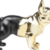 KARE Design Spaarpot Bulldog Goud-Zwart