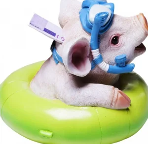 KARE Design Spaarpot Floating Pig
