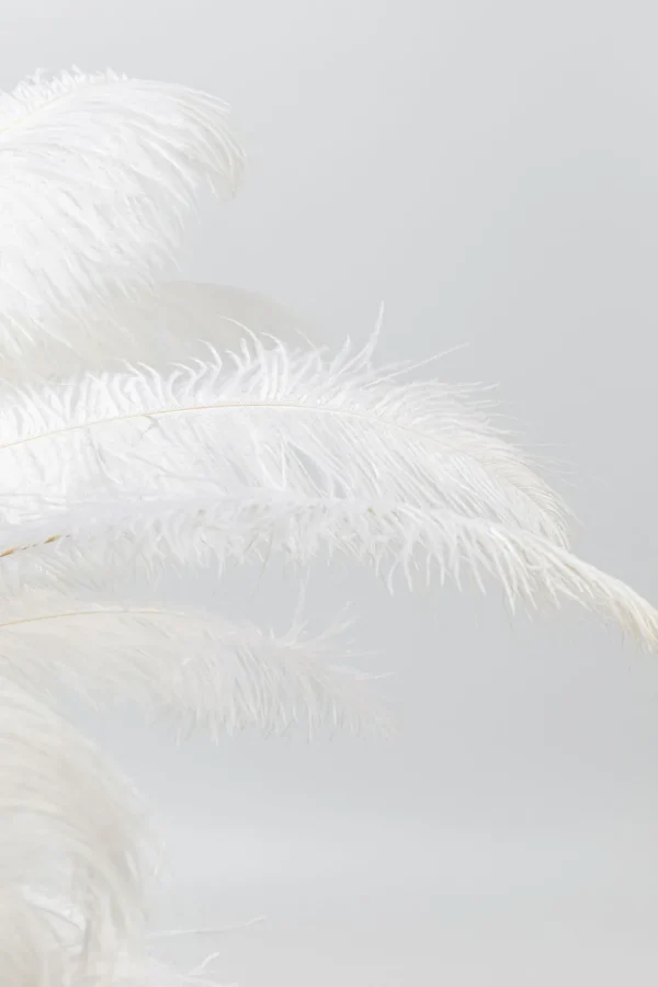 KARE Design Tafellamp Feather Palm White 60cm