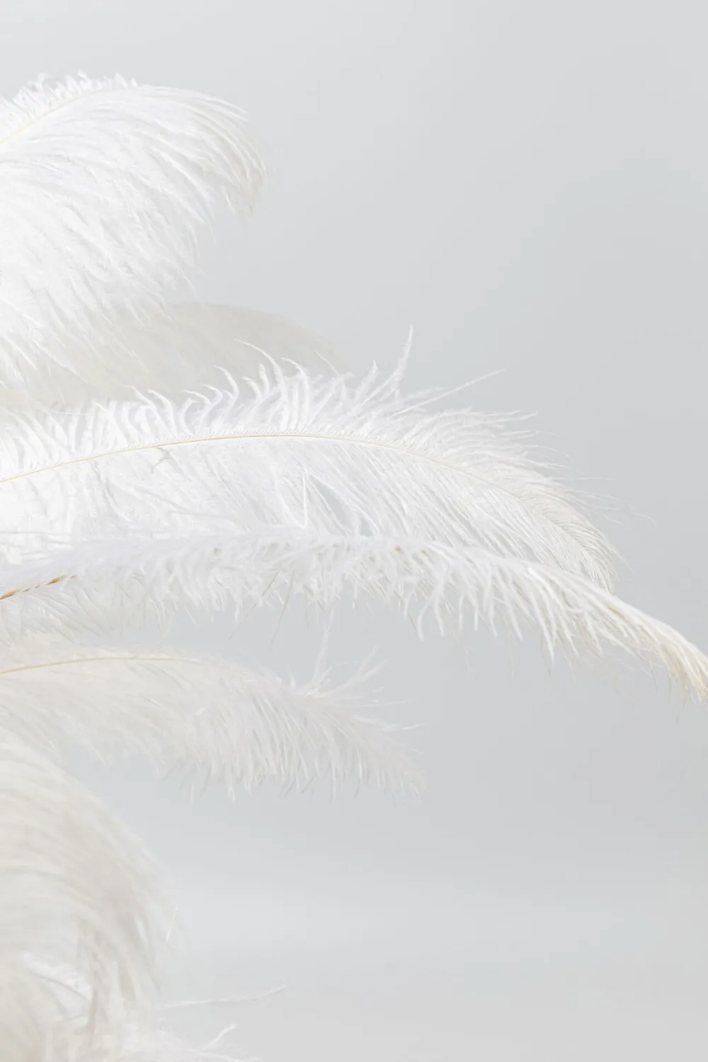 tafellamp_feather_palm_white_cm_2.webp KARE Design Tafellamp Feather Palm White 60cm