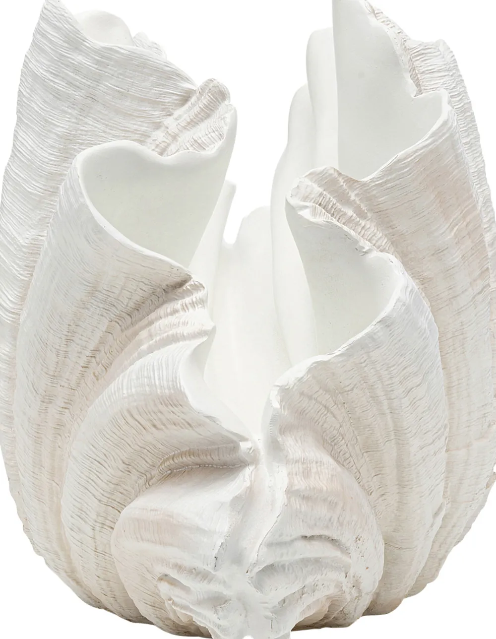 vaas_concha_cm_1-1.webp KARE Design Vaas Concha 57cm