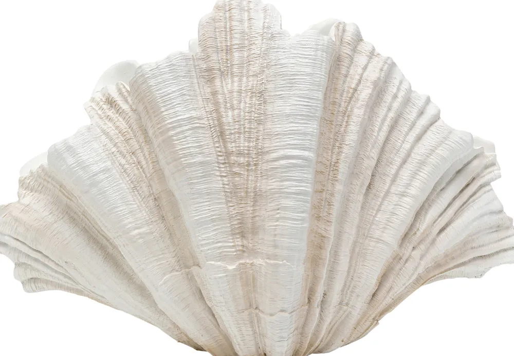 vaas_concha_cm_2-1.webp KARE Design Vaas Concha 57cm