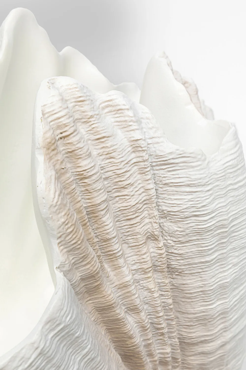 vaas_concha_cm_4-1.webp KARE Design Vaas Concha 57cm