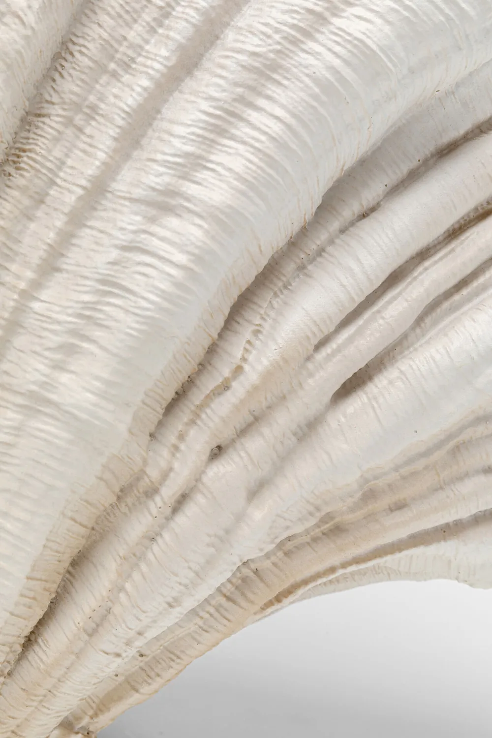 vaas_concha_cm_5.webp KARE Design Vaas Concha 57cm