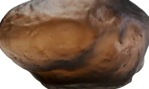 KARE Design Vaas Enrique Brown 15cm