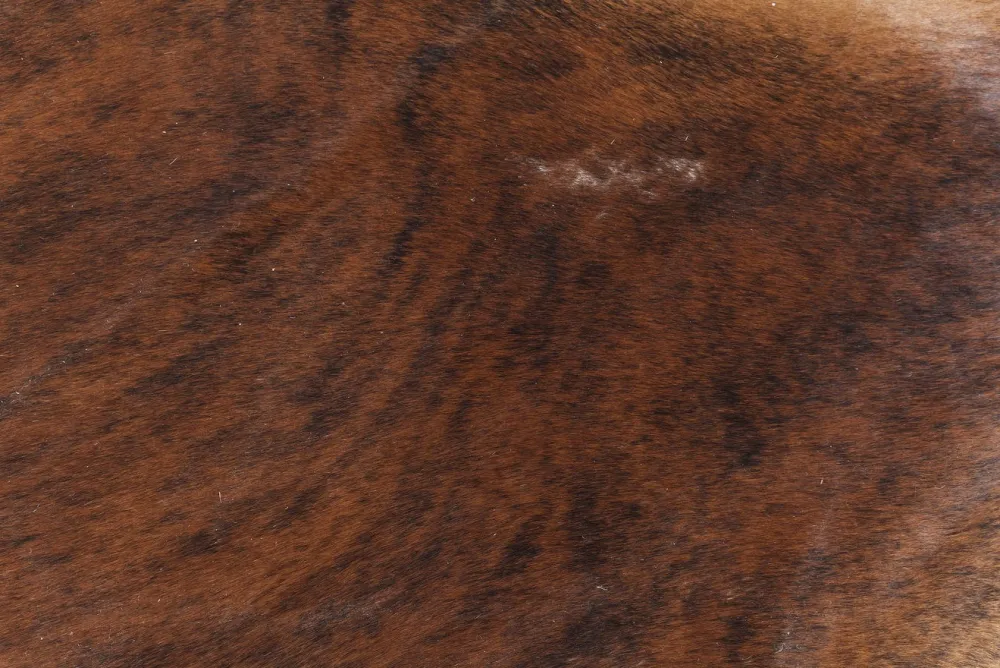 vloerkleed_hide_bruinwit_xcm_4.webp KARE Design Vloerkleed Hide Bruin-Wit 150x190cm