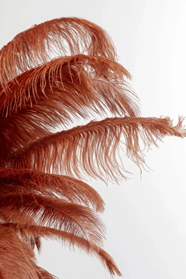 KARE Design Vloerlamp Feather Palm Brown 165cm