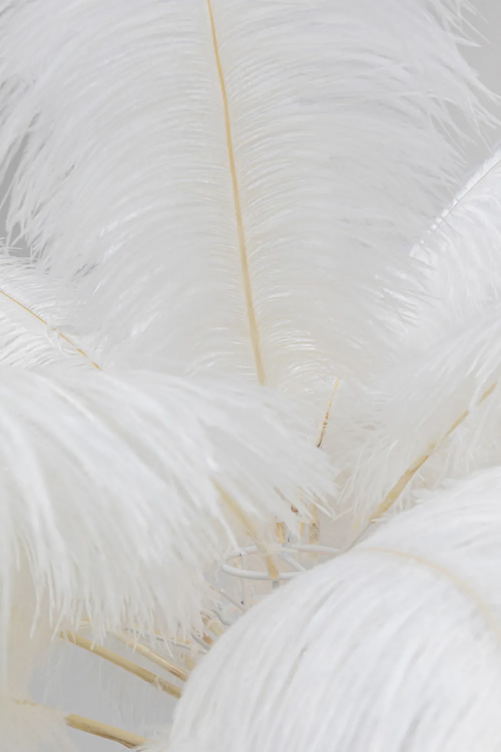 vloerlamp_feather_palm_white_cm_3.webp KARE Design Vloerlamp Feather Palm White 165cm
