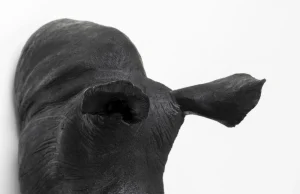 KARE Design Wanddecoratie Head Antique Zwart