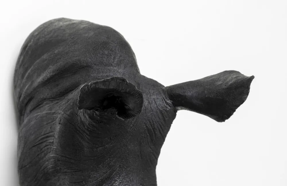 wanddecoratie_head_antique_zwart_2.webp KARE Design Wanddecoratie Head Antique Zwart