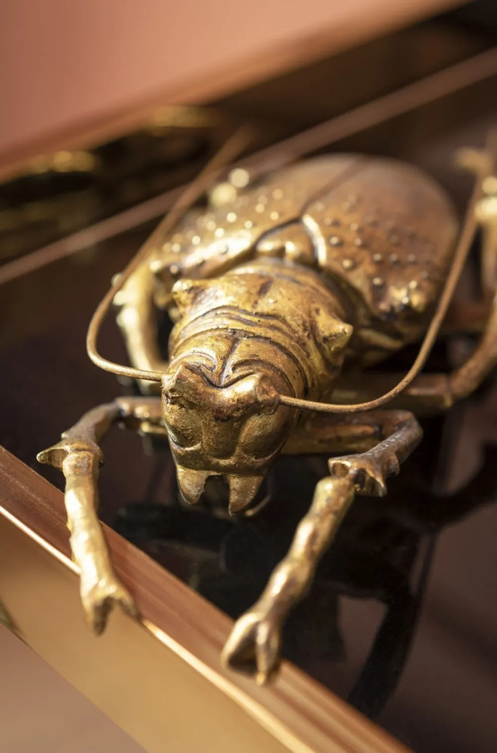 wanddecoratie_longicorn_beetle_goud_4.webp KARE Design Wanddecoratie Longicorn Beetle Goud