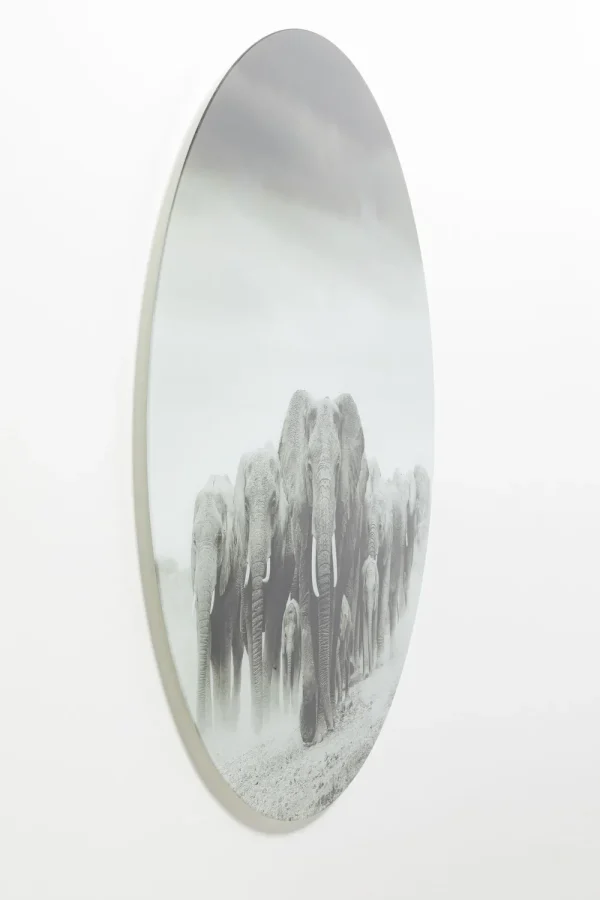 KARE Design Wandfoto Elephant Walk Ø120cm