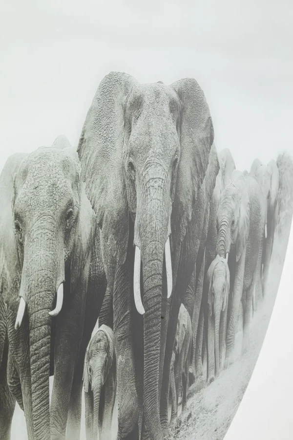 KARE Design Wandfoto Elephant Walk Ø120cm
