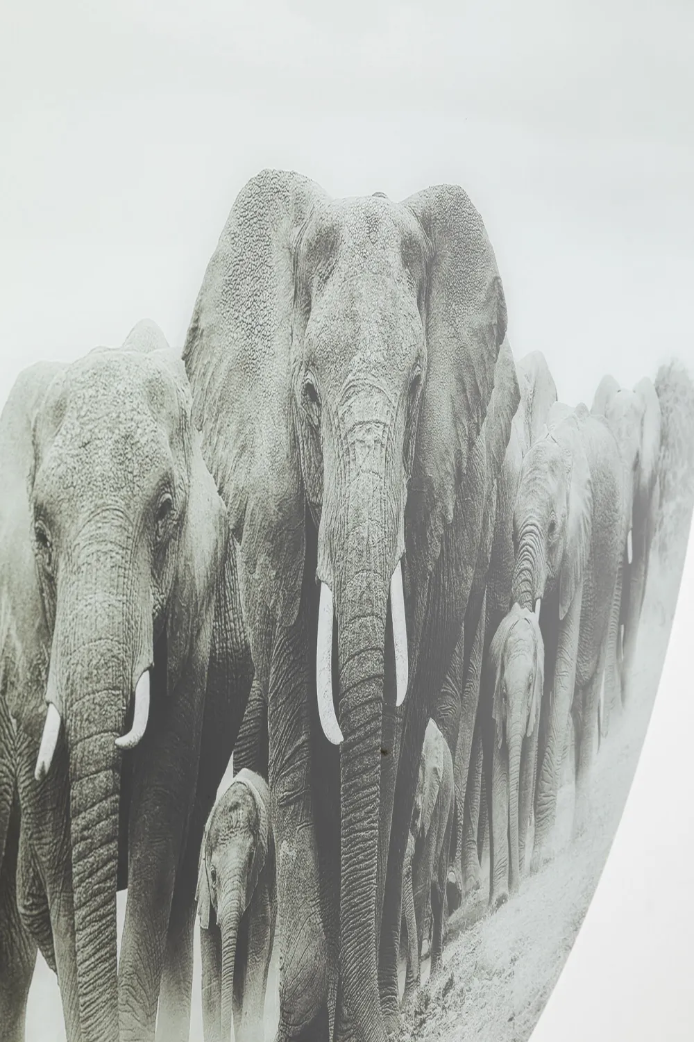 wandfoto_elephant_walk_cm_3.webp KARE Design Wandfoto Elephant Walk Ø120cm