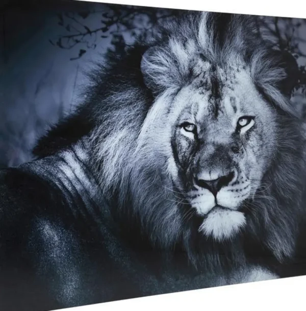 KARE Design Wandfoto Glass Lion King Lying 120x160cm